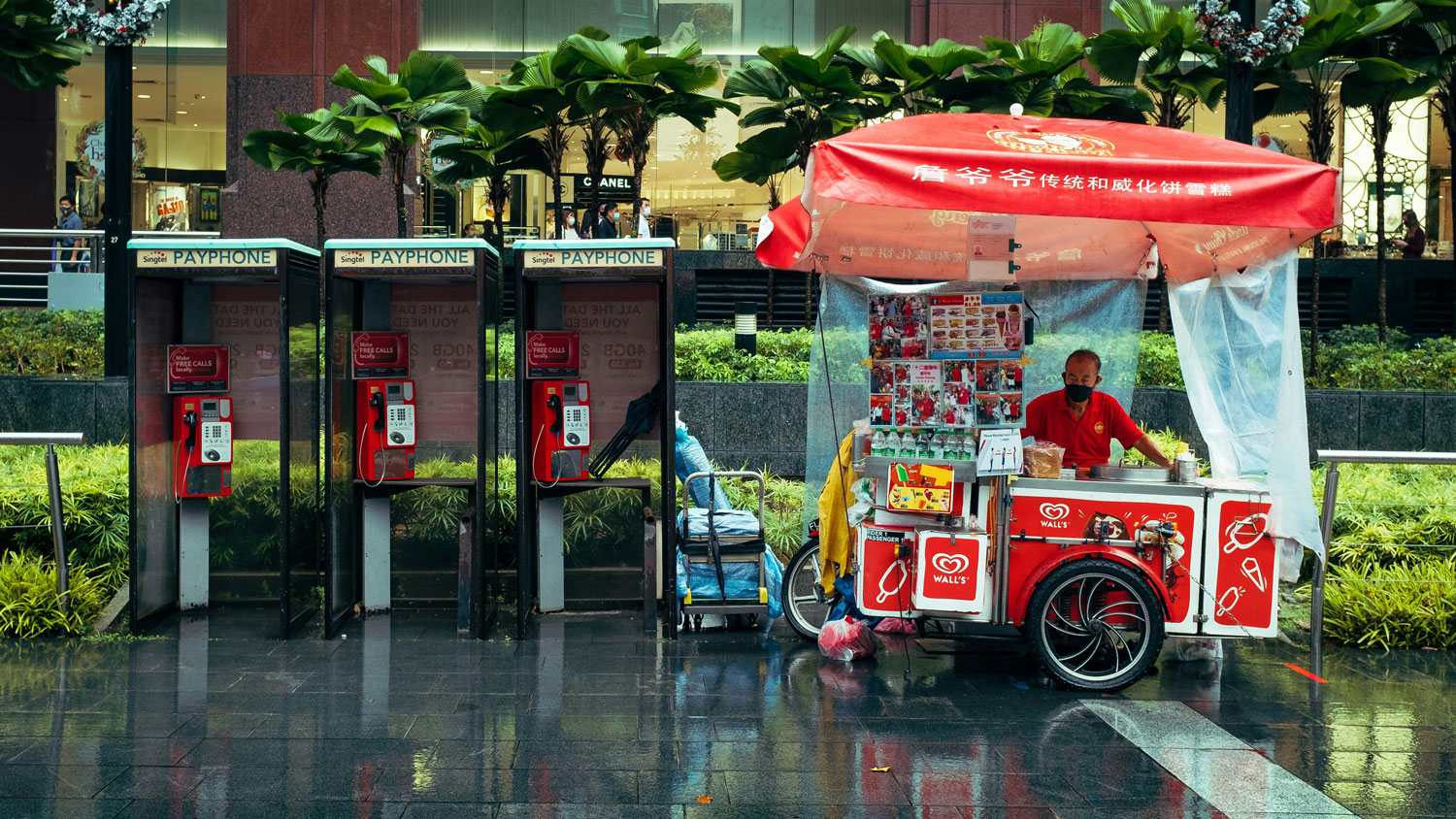 Photo by Christian Chen on Unsplash